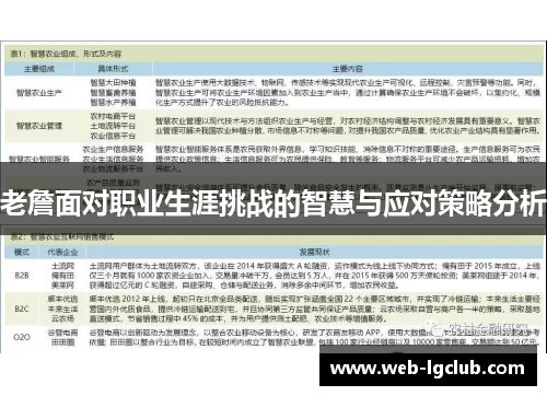 老詹面对职业生涯挑战的智慧与应对策略分析