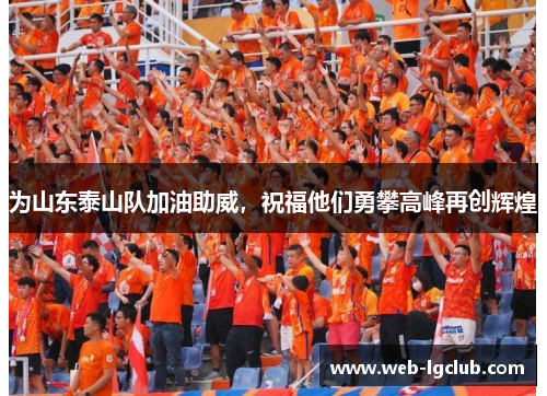 为山东泰山队加油助威，祝福他们勇攀高峰再创辉煌