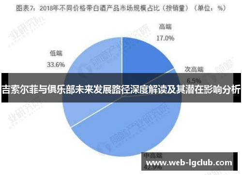 吉索尔菲与俱乐部未来发展路径深度解读及其潜在影响分析