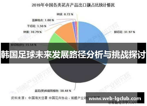 韩国足球未来发展路径分析与挑战探讨